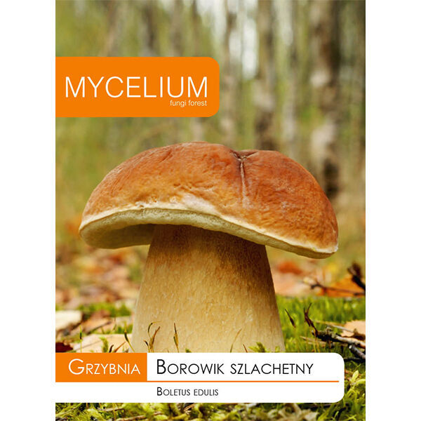 Mycelium Bolete Noble 10g